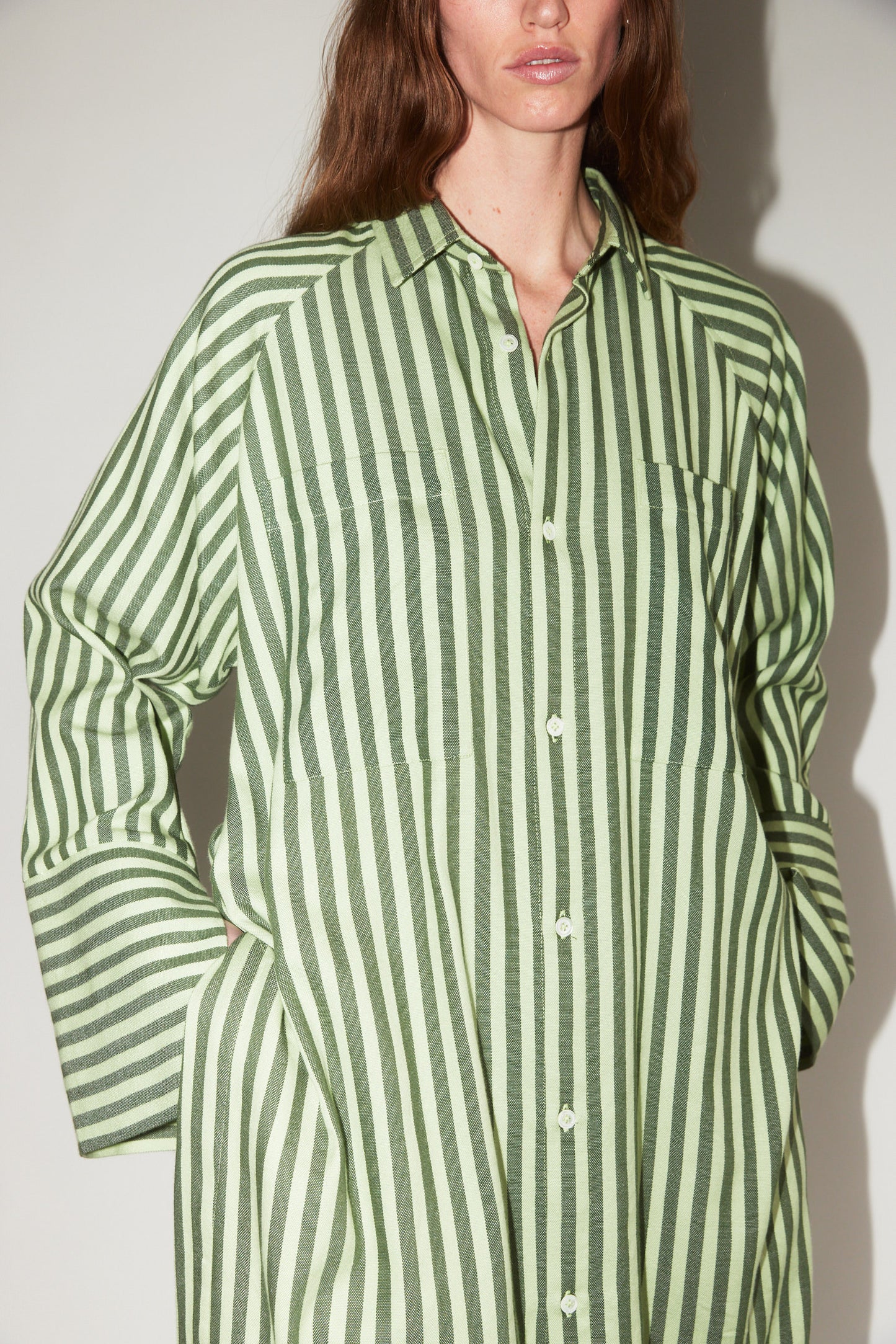 Long Sleeve Pocket Shirt in Green Stripe