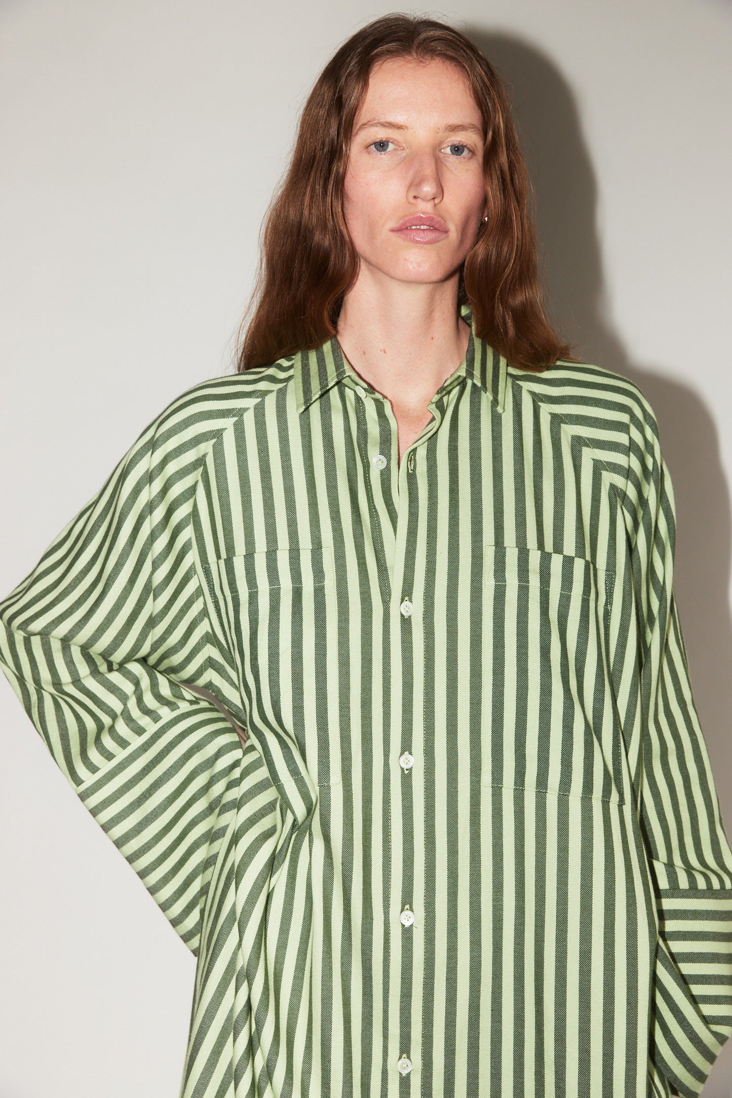 Long Sleeve Pocket Shirt in Green Stripe