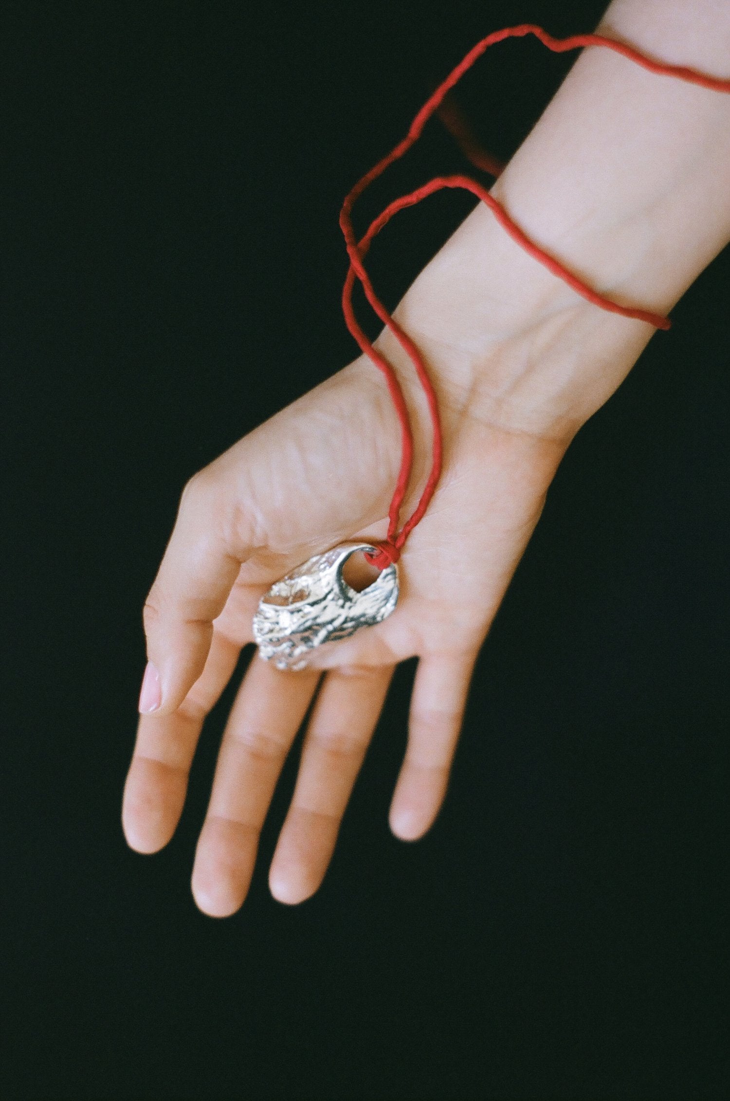 No.5  Venus Dish oyster shell
