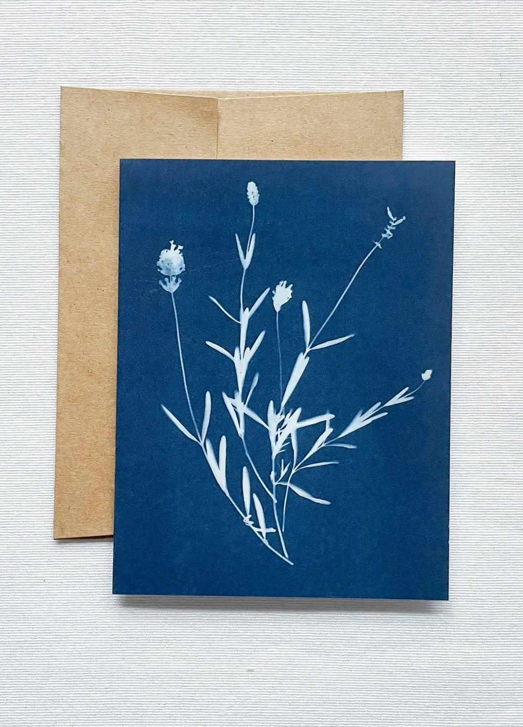 Botanical Cyanotype Card