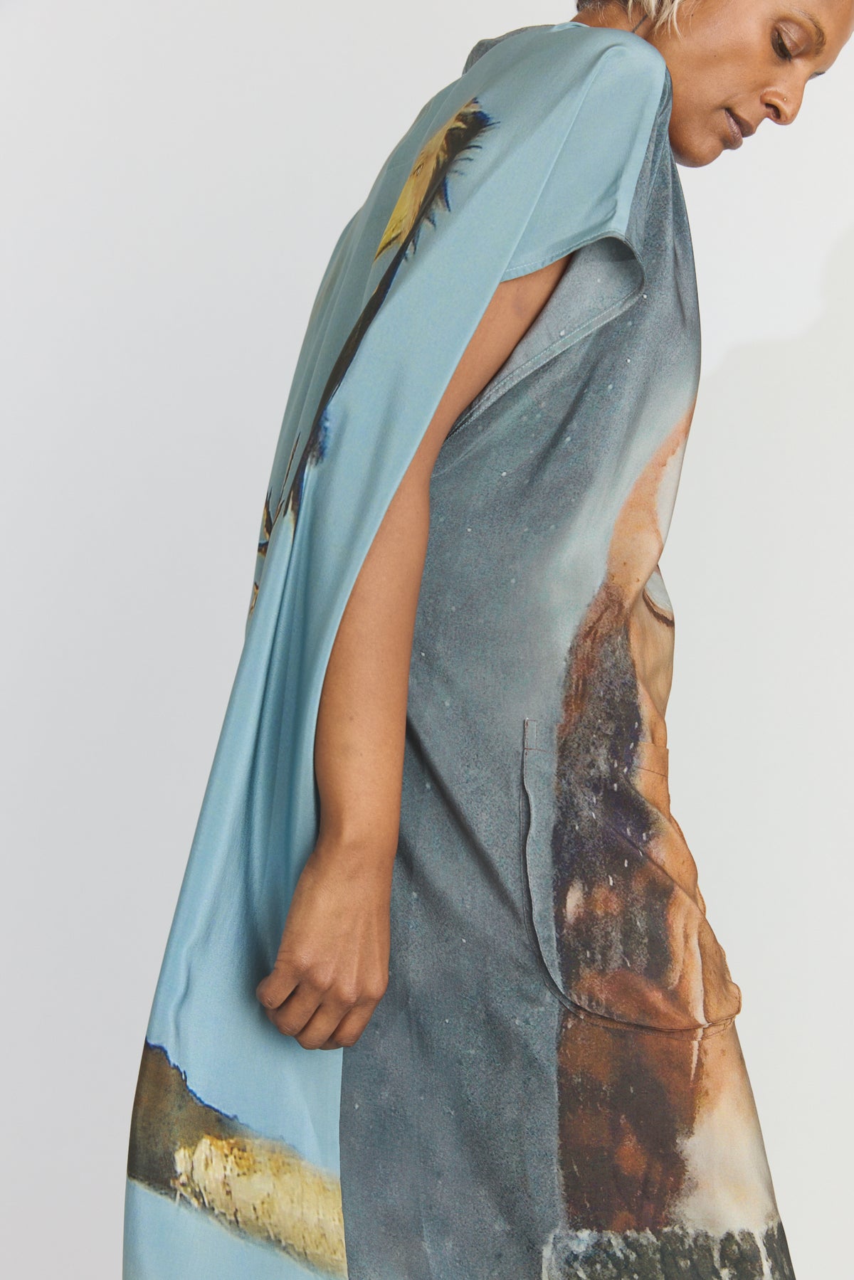 Silk Overdress - Print O